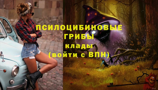прущая мука Переславль-Залесский