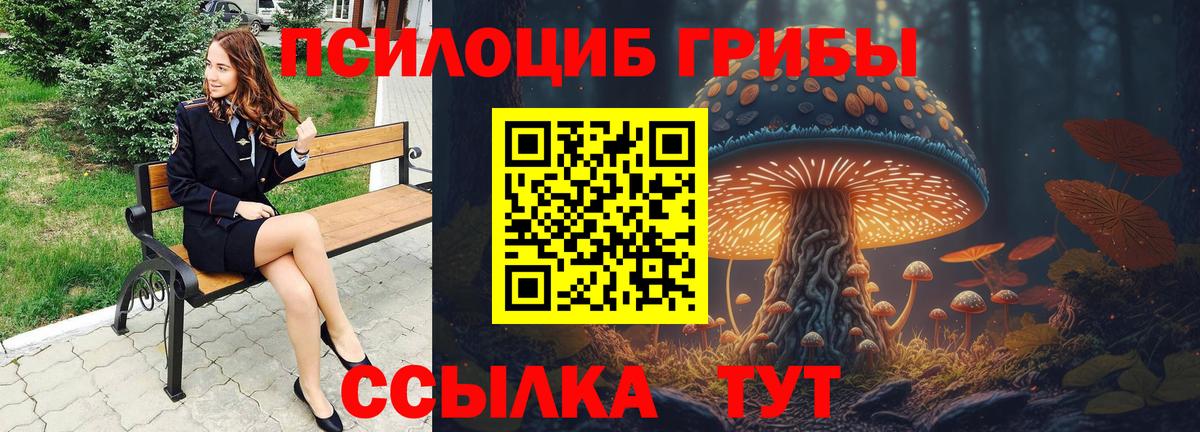 Алексин  Псилоцибиновые грибы ЛСД  Галлюциногенные грибы Magic Shrooms  Вход с VPN 