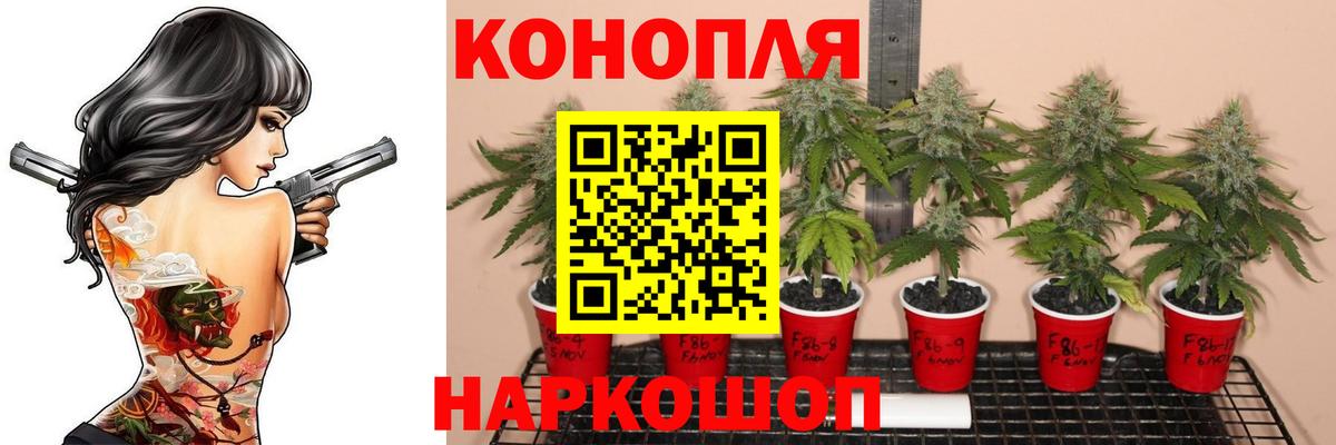 Марихуана тримм  Бошки марихуана White Widow  Алексин  Вход с VPN  Канабис план 